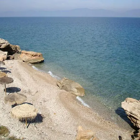 Theologos: Front Sea View